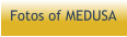Fotos of MEDUSA